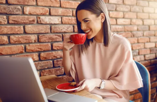 Tugla Home Kaplama Tugla 1