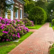 Taban Tuglasi Fiyatlari 1