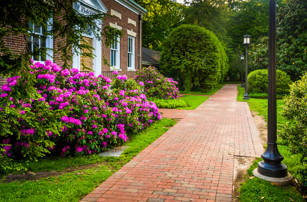 Taban Tuglasi Fiyatlari 1