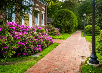 Taban Tuğlası Fiyatları – Taban Tuğlası M2 Fiyatı