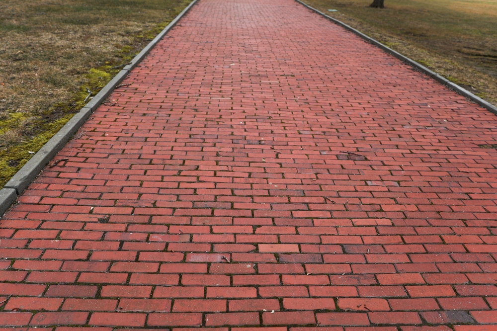 Taban Tuglasi Modelleri 2