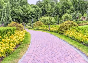 Taban Tuğlası Modelleri